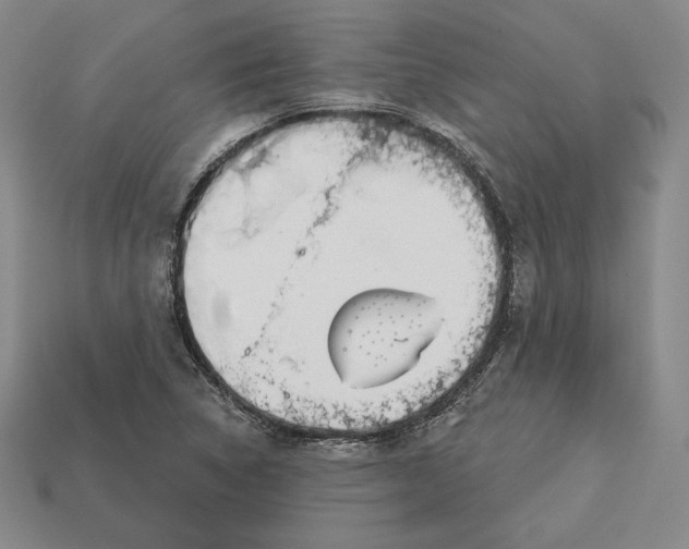 X0000113121314200909181641