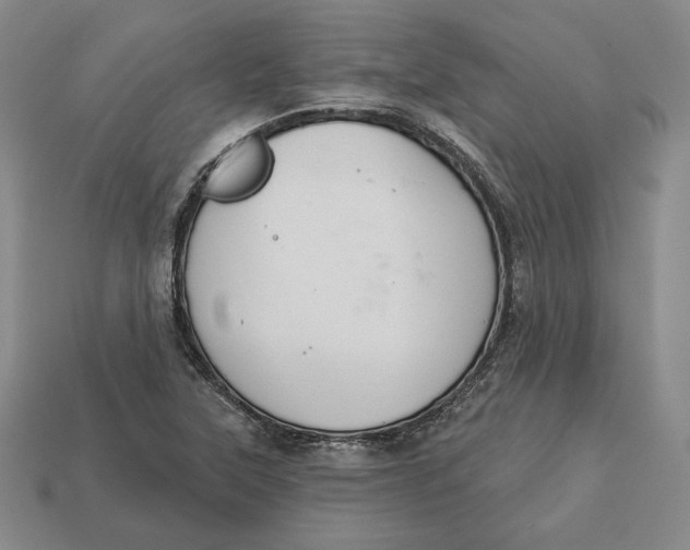 X0000113121315200909181641