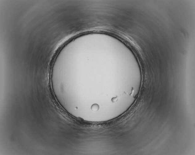 X0000113121316200909181641