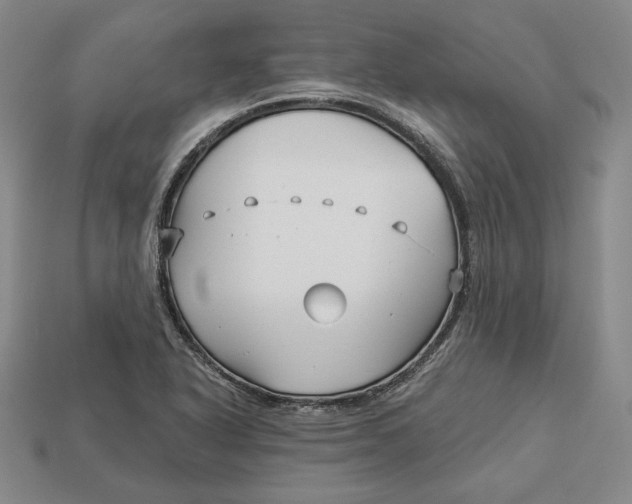 X0000113121318200909181641