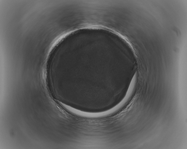 X0000113121319200909181641