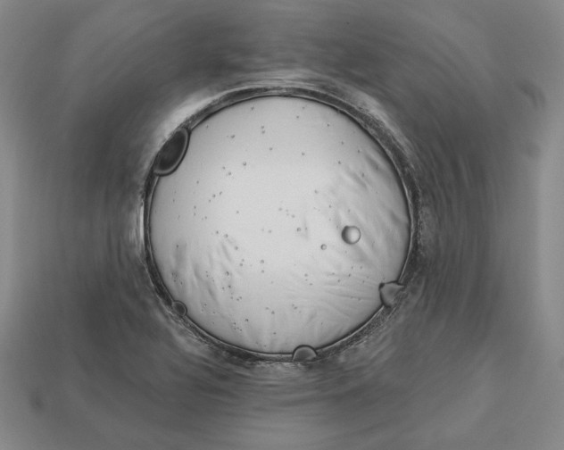 X0000113121320200909181641