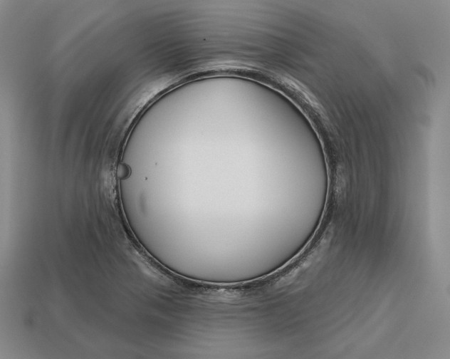 X0000113121321200909181641