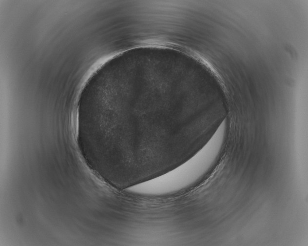 X0000113121323200909181641