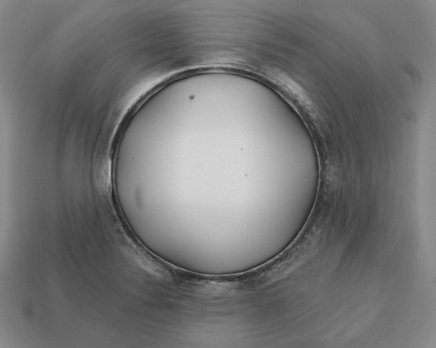 X0000113121324200909181641