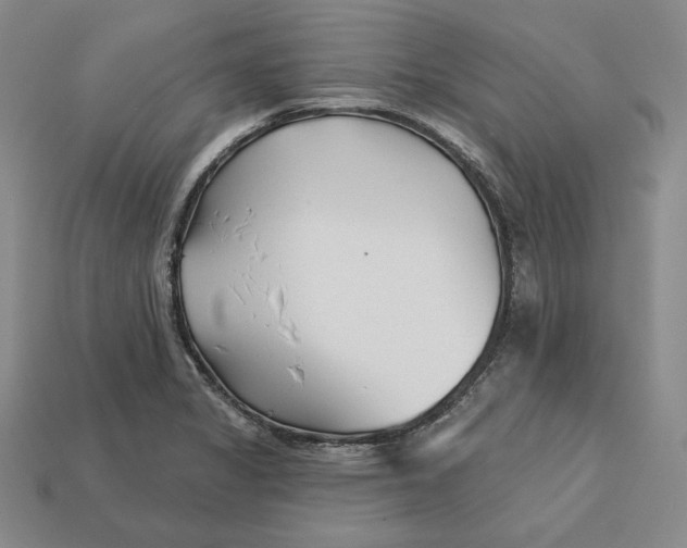 X0000113121325200909181641