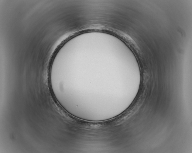 X0000113121326200909181641