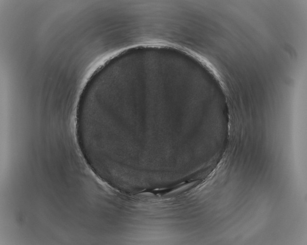 X0000113121327200909181641