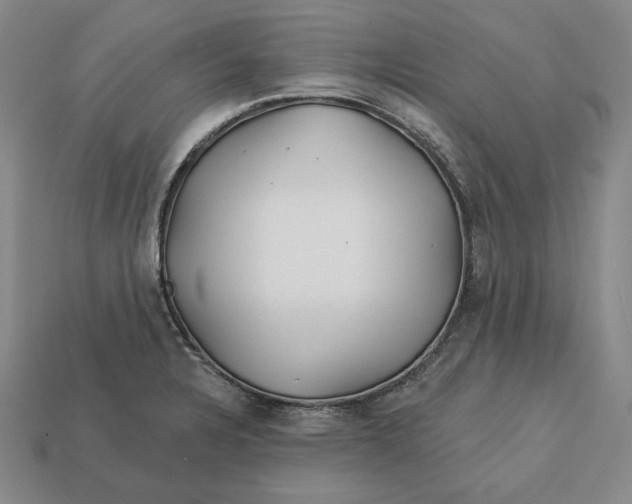 X0000113121328200909181641