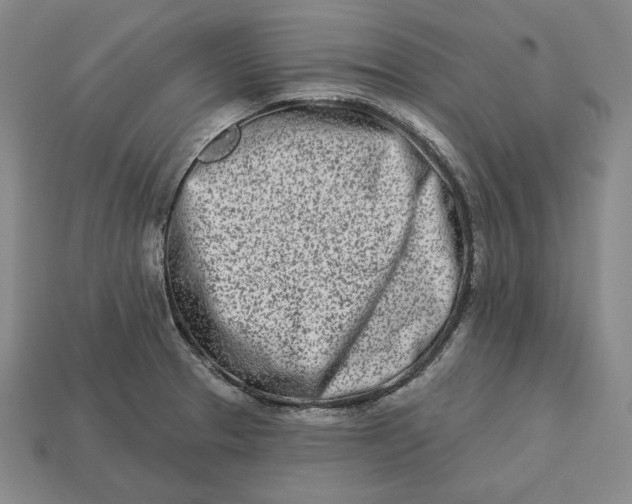 X0000113121329200909181641