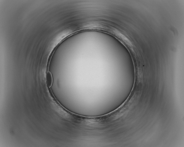 X0000113121330200909181641