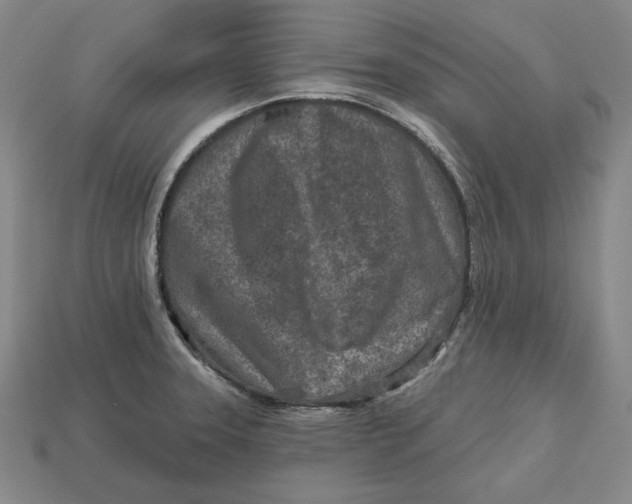 X0000113121331200909181641