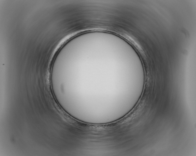 X0000113121332200909181641