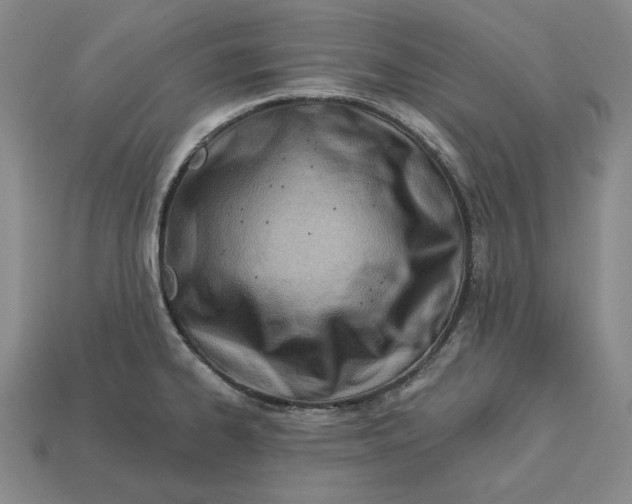 X0000113121334200909181641