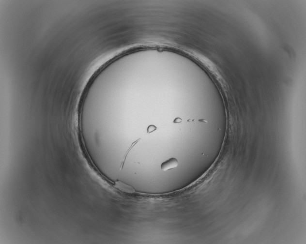 X0000113121335200909181641