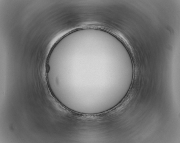 X0000113121336200909181641