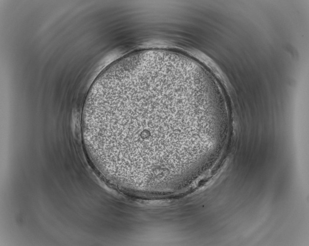 X0000113121337200909181641