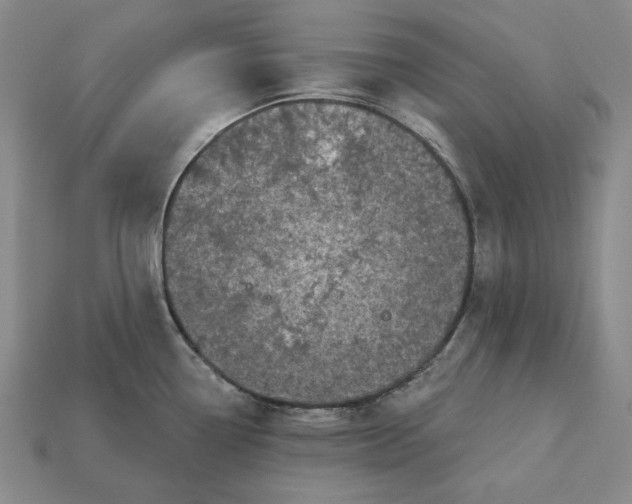 X0000113121338200909181641