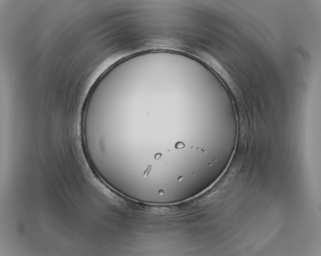 X0000113121339200909181641