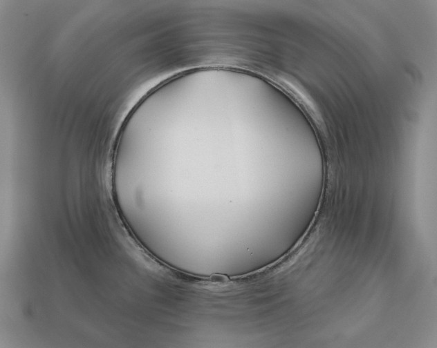 X0000113121340200909181641