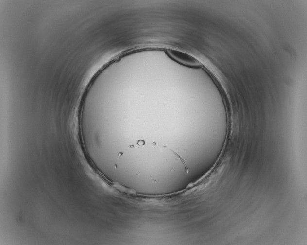 X0000113121341200909181641