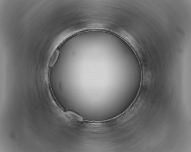 X0000113121342200909181641