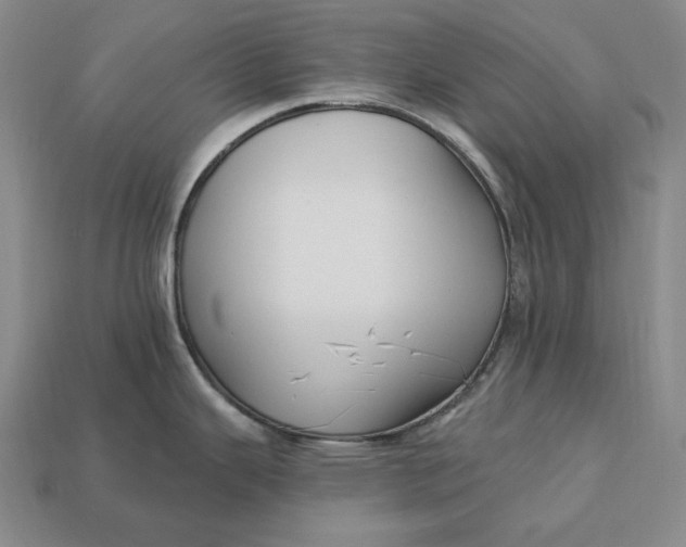 X0000113121343200909181641