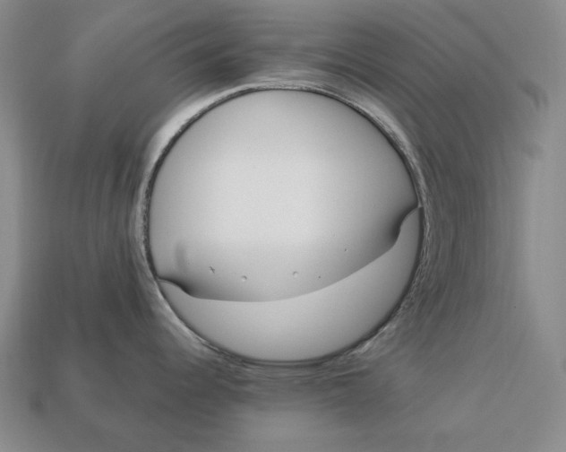 X0000113121344200909181641