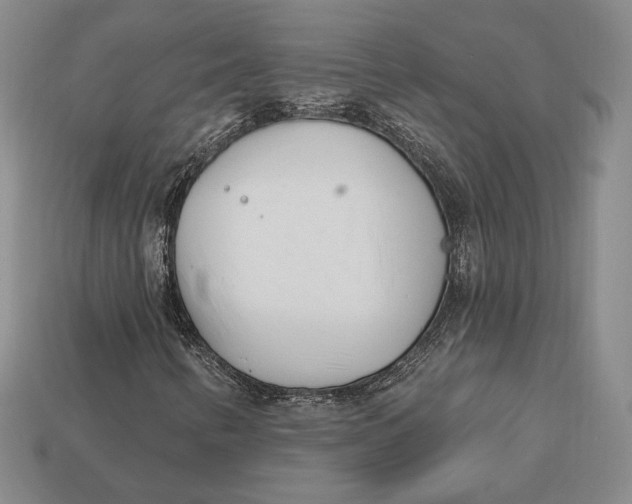 X0000113121346200909181640