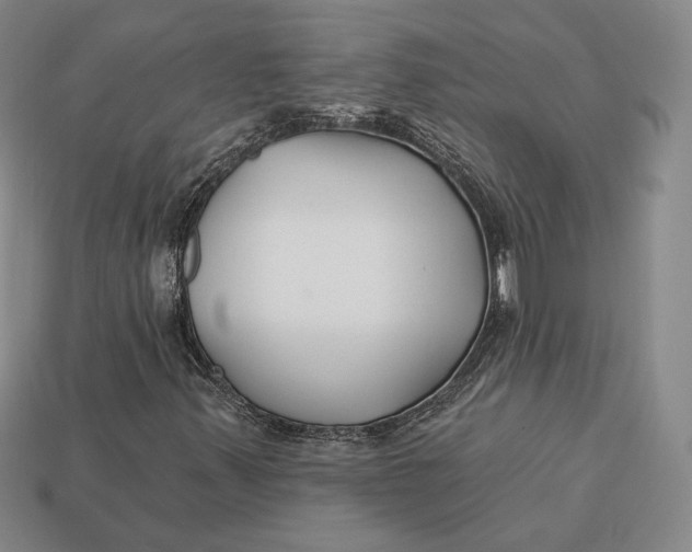 X0000113121347200909181640