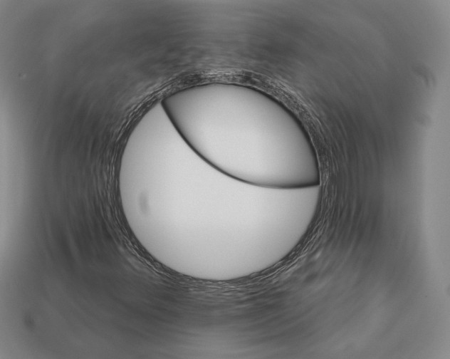 X0000113121348200909181640