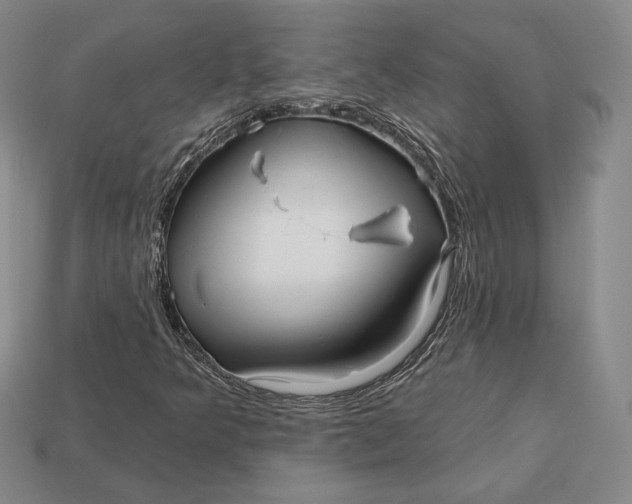 X0000113121349200909181640