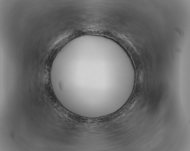 X0000113121350200909181640