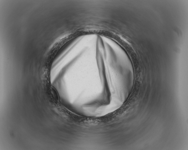 X0000113121351200909181640