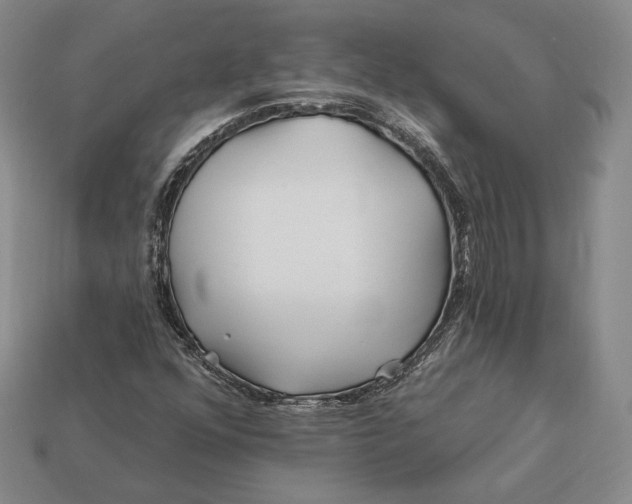 X0000113121352200909181640