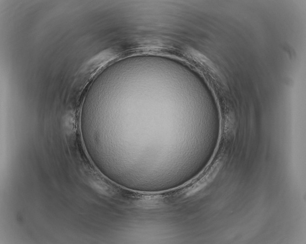 X0000113121353200909181640