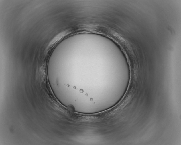 X0000113121354200909181640