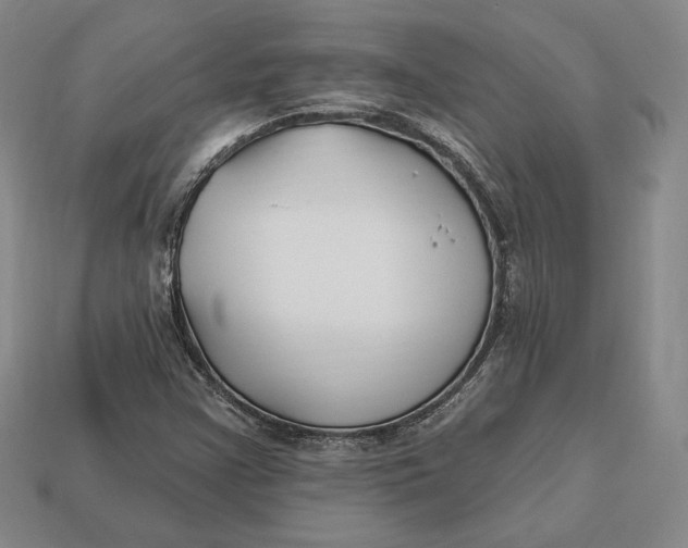 X0000113121355200909181640