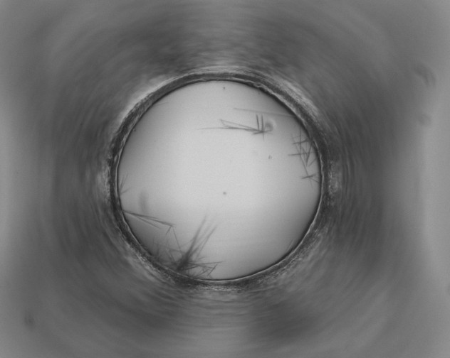 X0000113121356200909181640