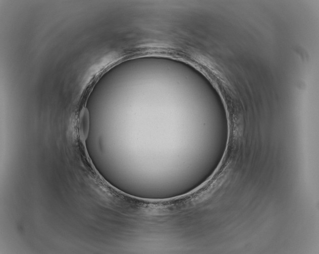 X0000113121357200909181640