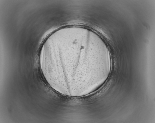 X0000113121358200909181640