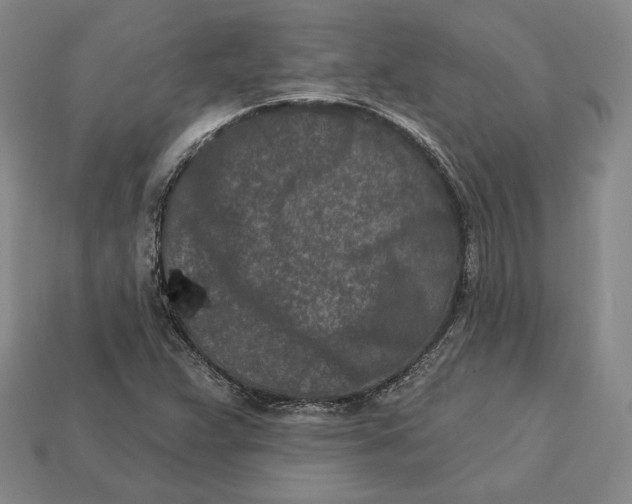 X0000113121359200909181640