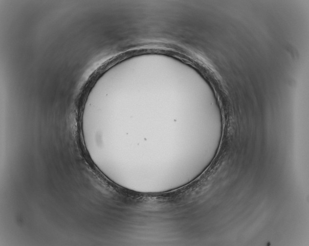 X0000113121360200909181640