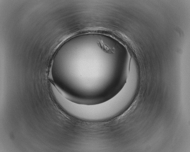 X0000113121361200909181640