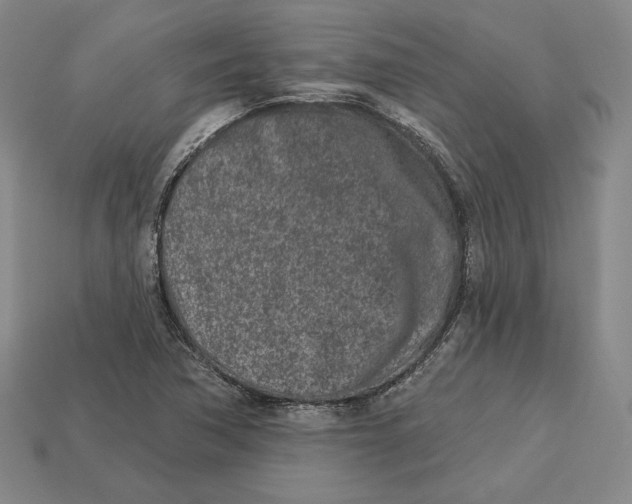 X0000113121362200909181640