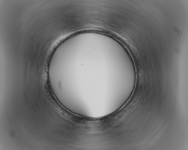 X0000113121363200909181640