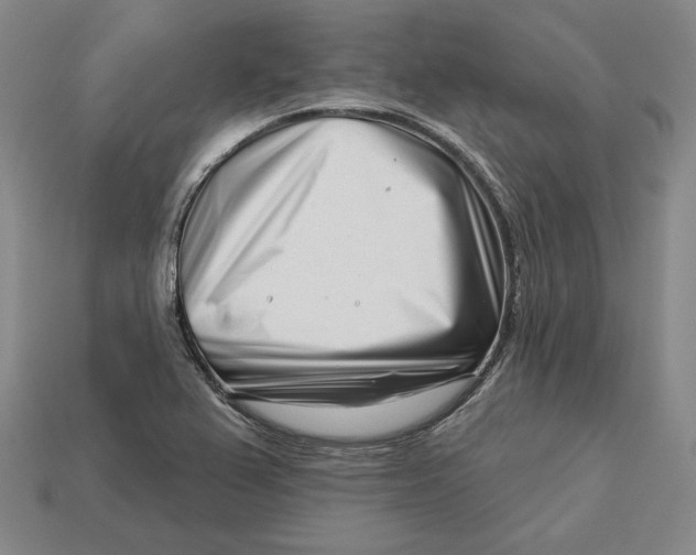 X0000113121367200909181640