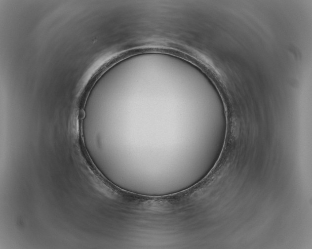 X0000113121368200909181640