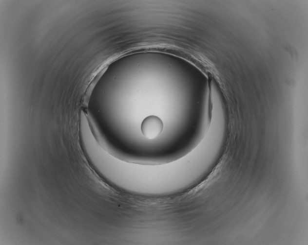 X0000113121369200909181640