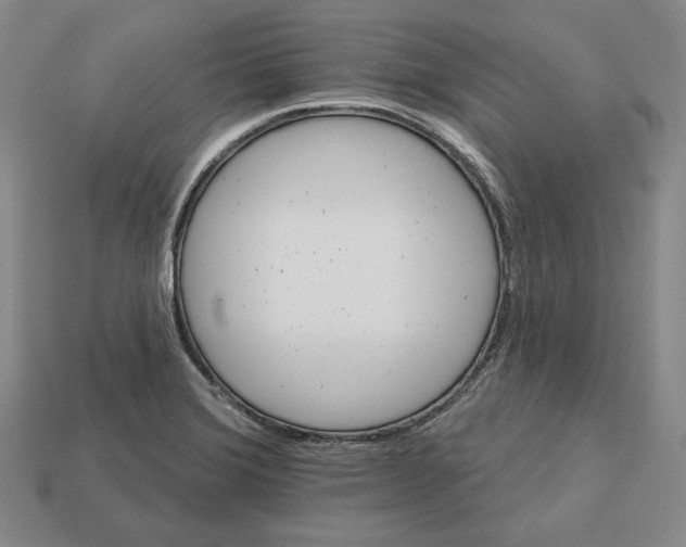 X0000113121372200909181640